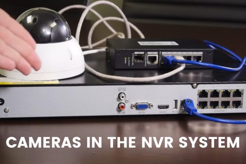 Cameras in the NVR system