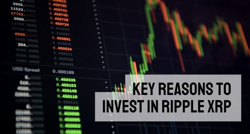 Key Reasons to Invest In Ripple XRP