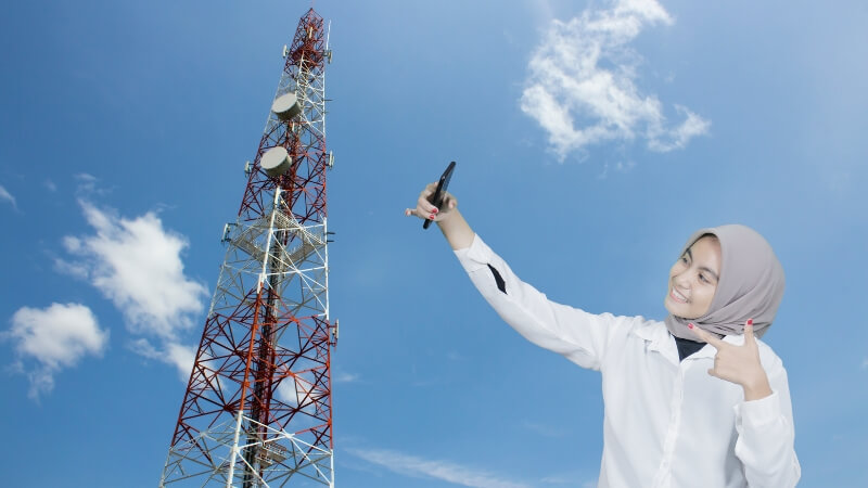 phone antenna receives cell signals